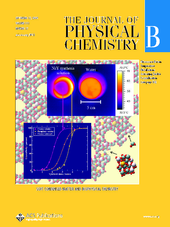 Murad Gharibeh et al. on the Cover of J. Phys. Chem. B